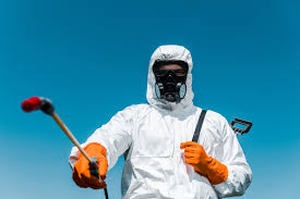 Best Fumigation Services  in Roosevelt Park, MI